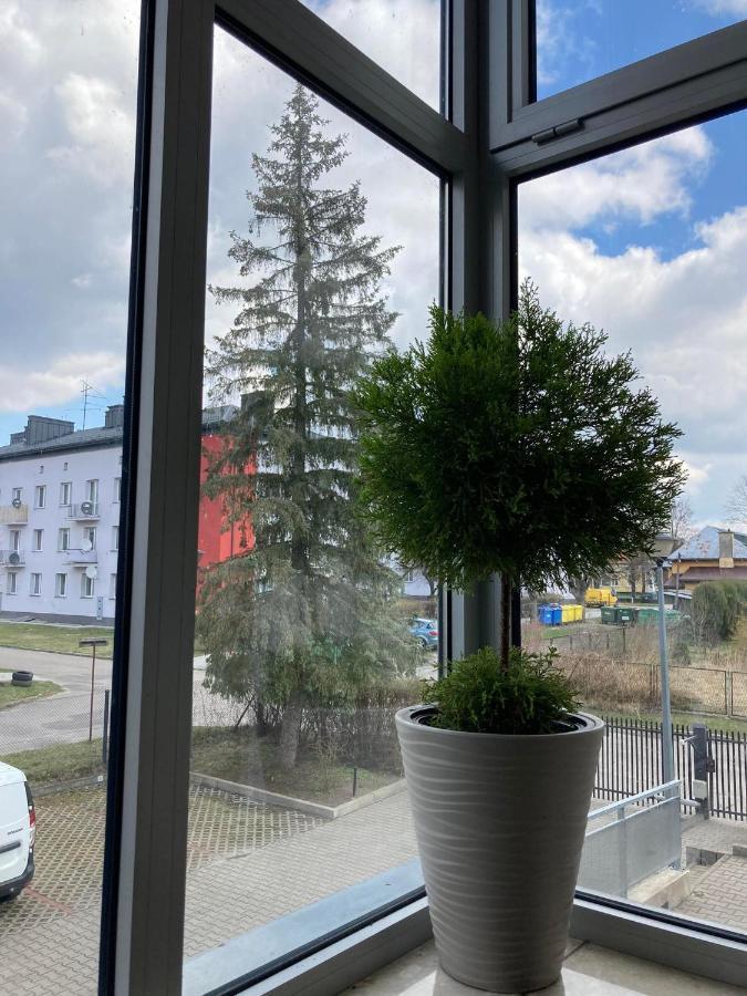 Apartament Miodowa 9 Zwierzyniec Exterior photo